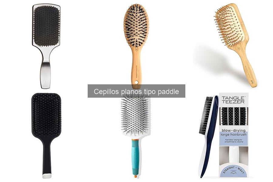 Comparativa: Cepillos Planos Paddle vs. Cepillos Redondos