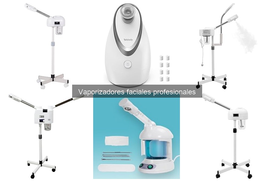 Guía sobre Vaporizadores Faciales Profesionales