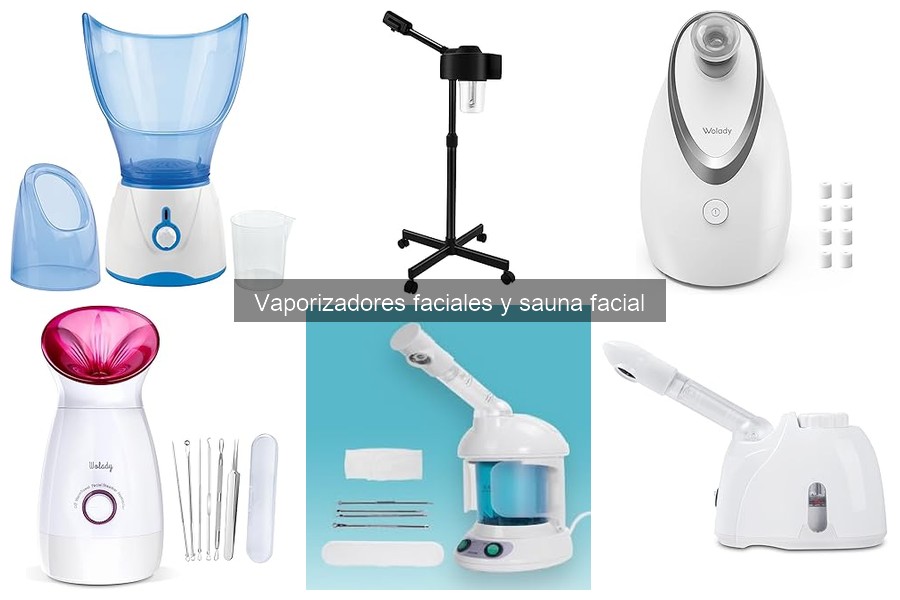 Opiniones de los mejores vaporizadores faciales del mercado