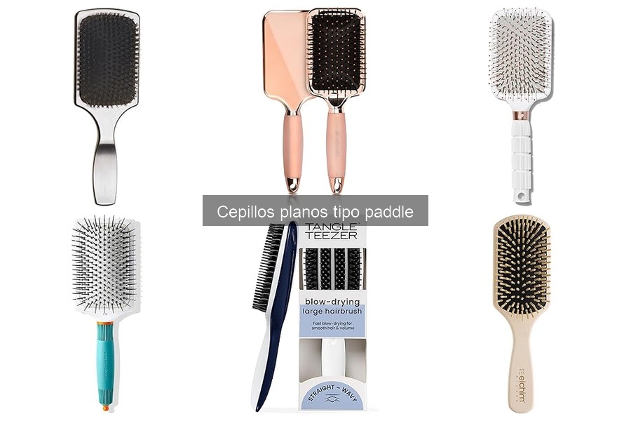 ** Todo sobre el cepillo plano tipo paddle: características y funciones