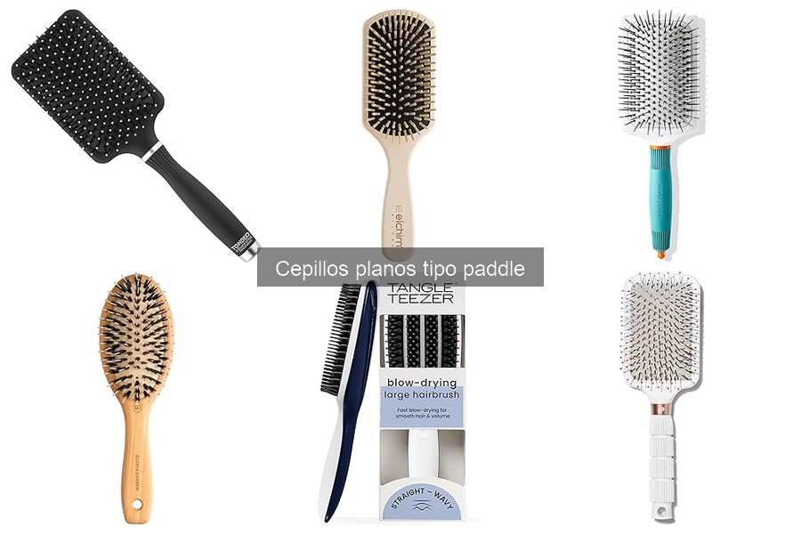 Ventajas y Desventajas de los Cepillos Planos Tipo Paddle